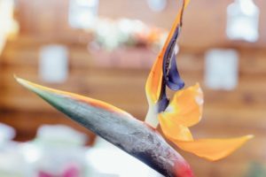 esküvői dekoráció